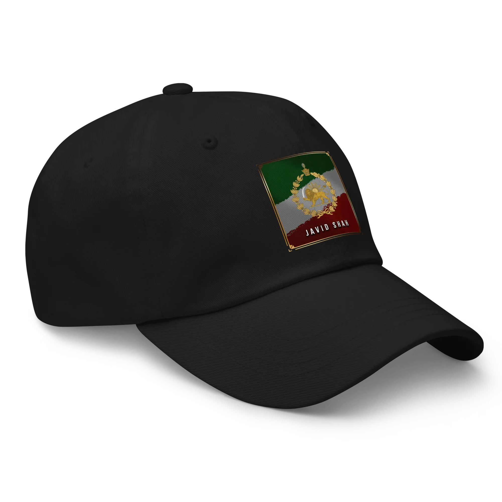 Javid Shah Lion & Sun Dark Edition Hat in Black – right angle view
