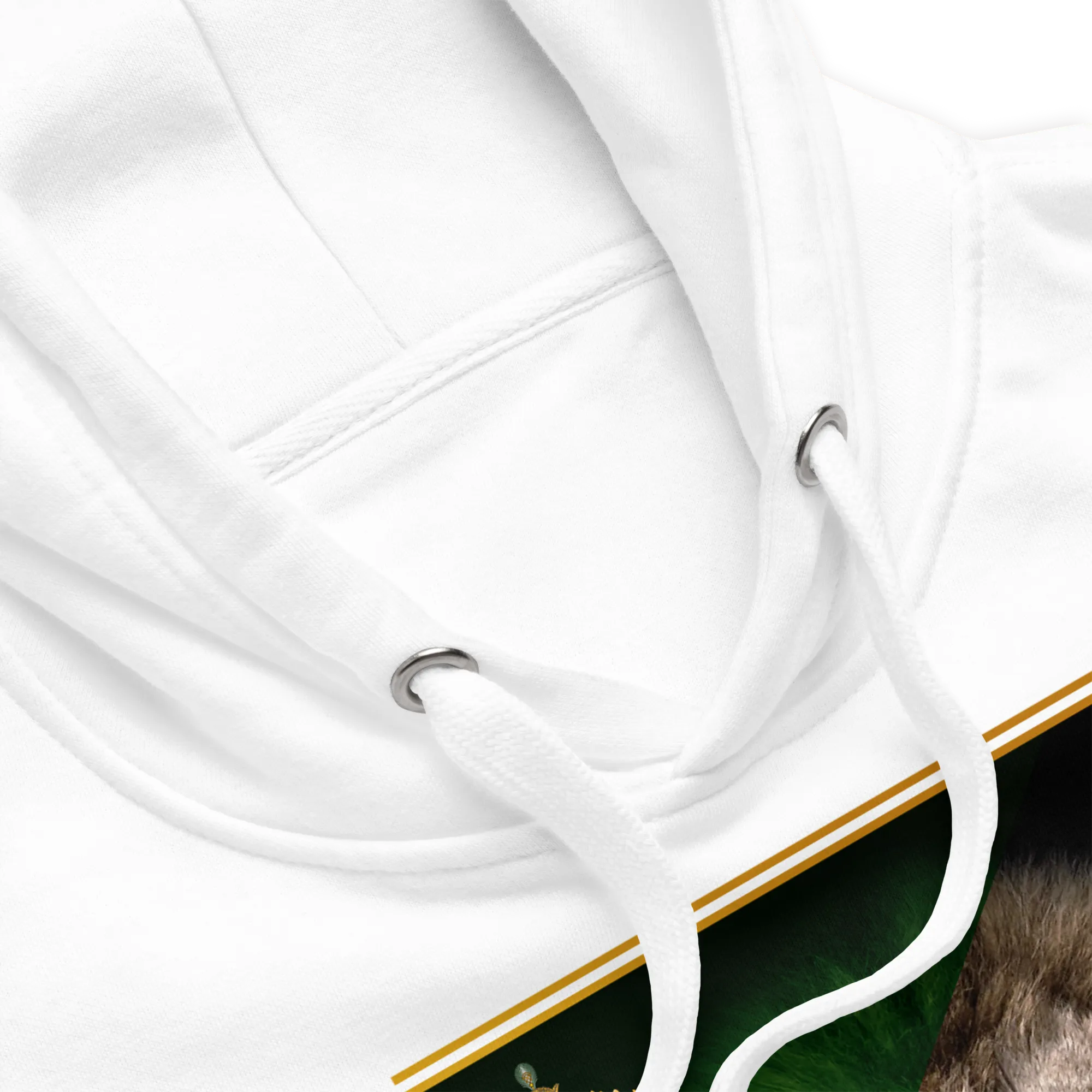 Lion & Sun Hoodie – Javid Shah Edition